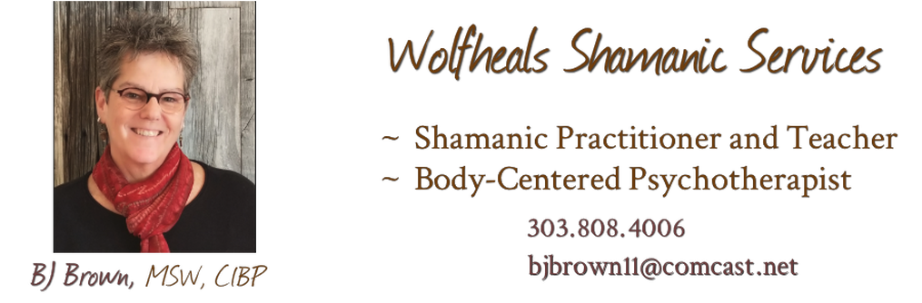 Wolfheals Shamanic Services